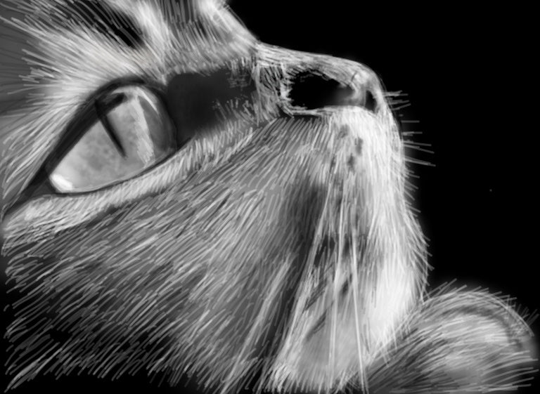 Hand Drawn Digital Art